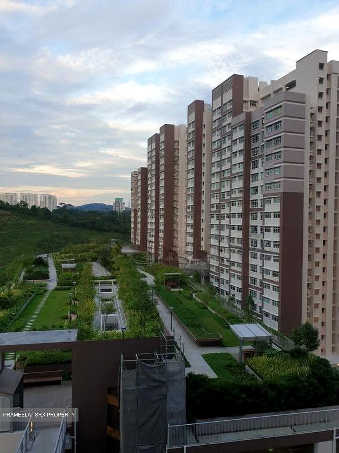 Blk 451A West Terra @ Bukit Batok (Bukit Batok), HDB 3 Rooms #610310231
